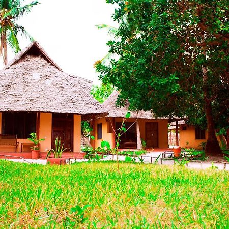 Bed and Breakfast Afro Whale Shark Safari Kilindoni Exteriér fotografie