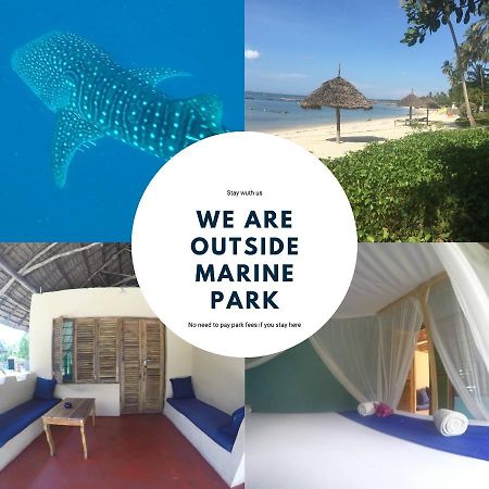 Bed and Breakfast Afro Whale Shark Safari Kilindoni Exteriér fotografie