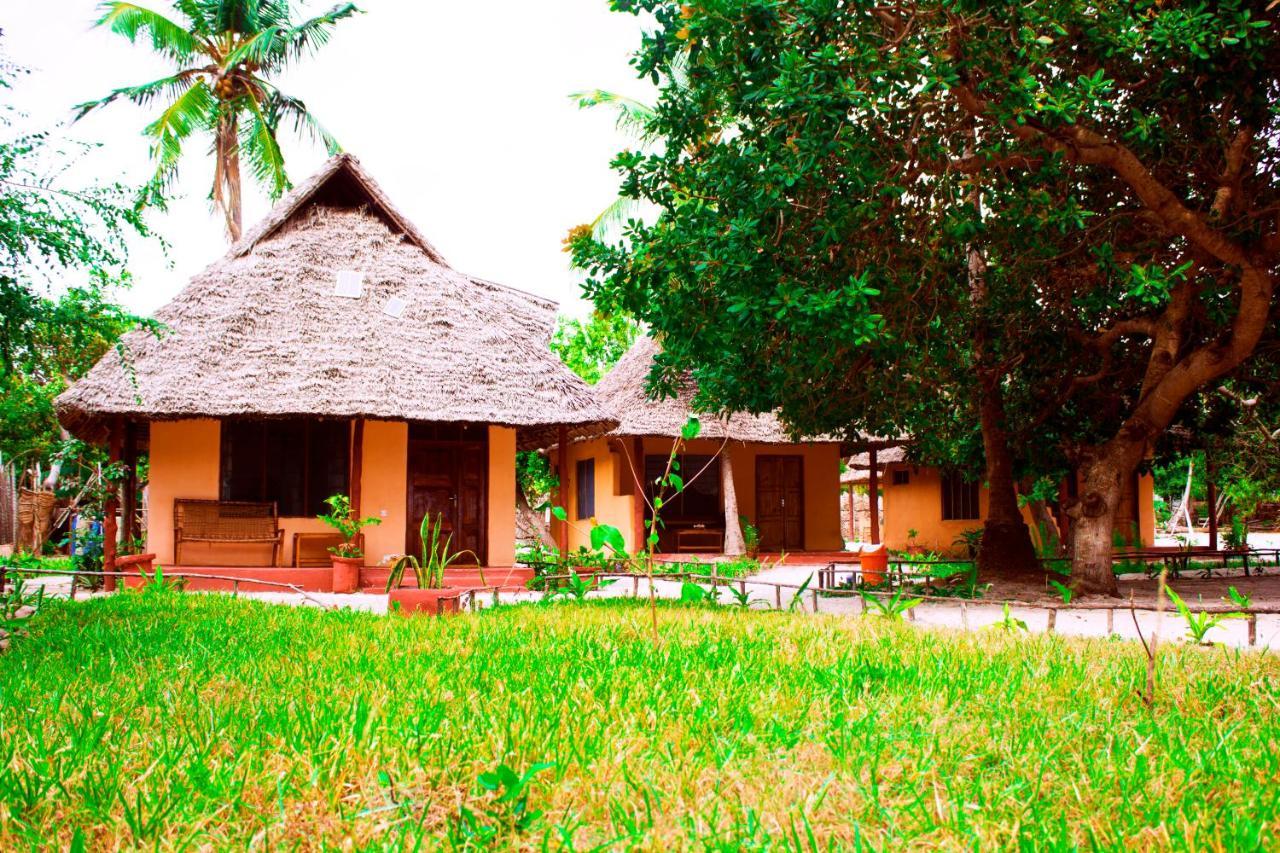 Bed and Breakfast Afro Whale Shark Safari Kilindoni Exteriér fotografie