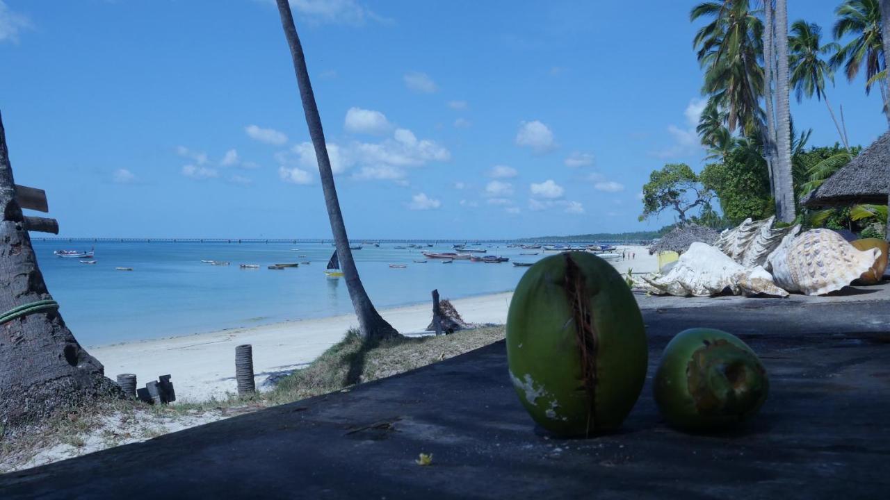 Bed and Breakfast Afro Whale Shark Safari Kilindoni Exteriér fotografie