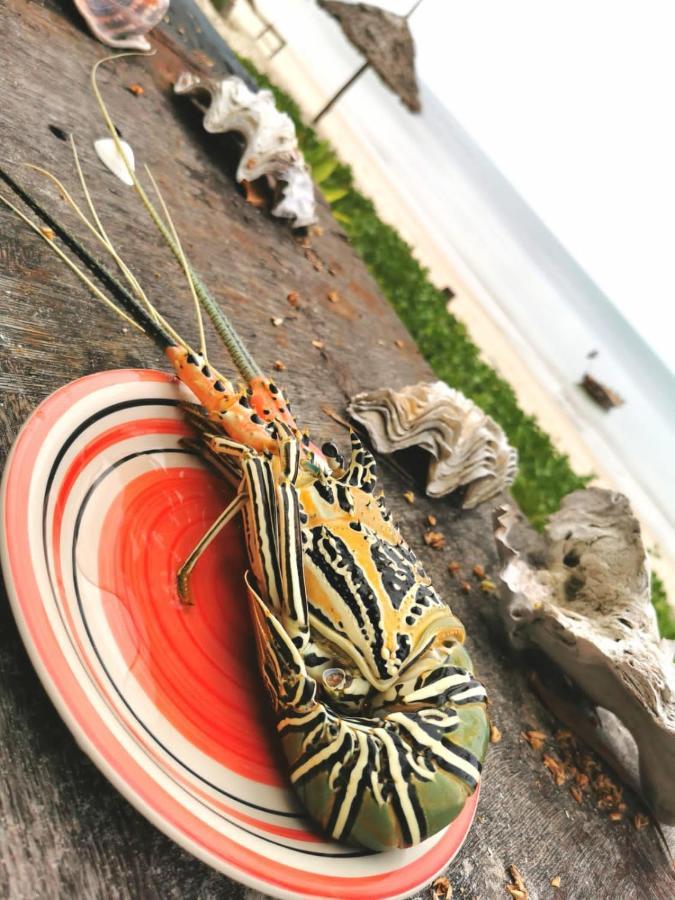 Bed and Breakfast Afro Whale Shark Safari Kilindoni Exteriér fotografie