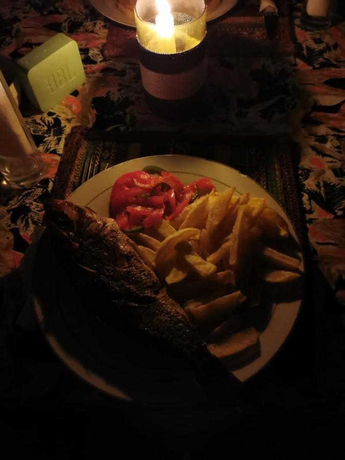 Bed and Breakfast Afro Whale Shark Safari Kilindoni Exteriér fotografie