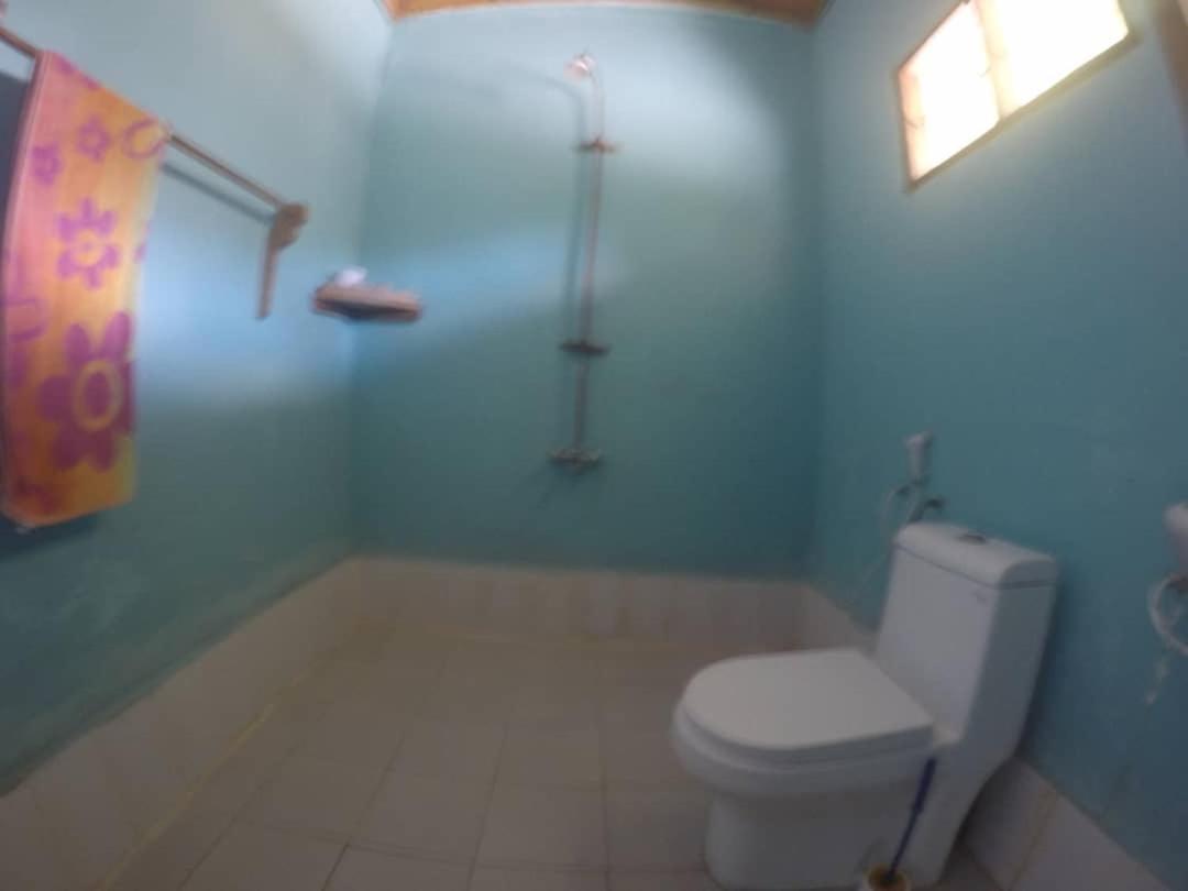Bed and Breakfast Afro Whale Shark Safari Kilindoni Exteriér fotografie