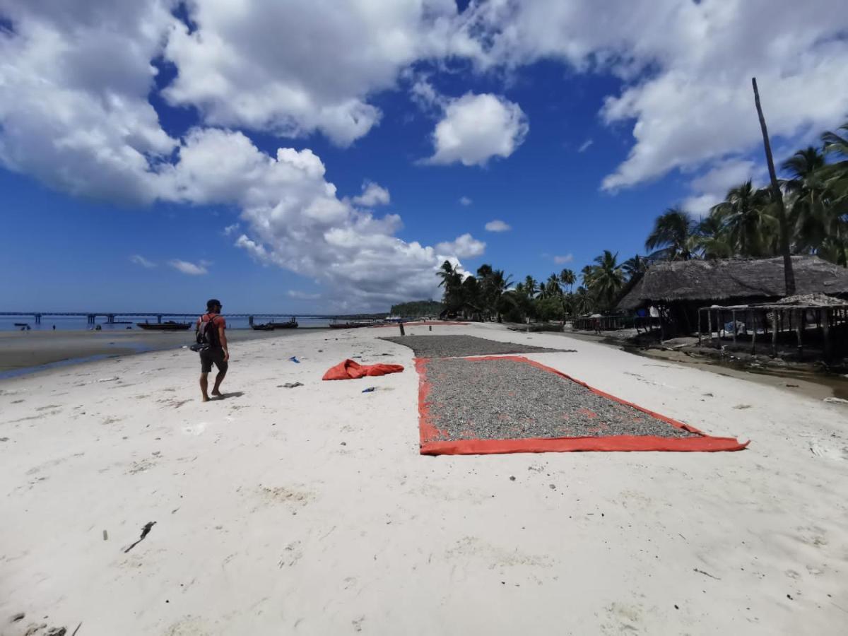 Bed and Breakfast Afro Whale Shark Safari Kilindoni Exteriér fotografie