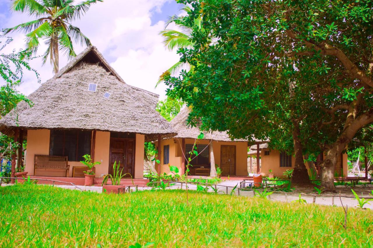 Bed and Breakfast Afro Whale Shark Safari Kilindoni Exteriér fotografie
