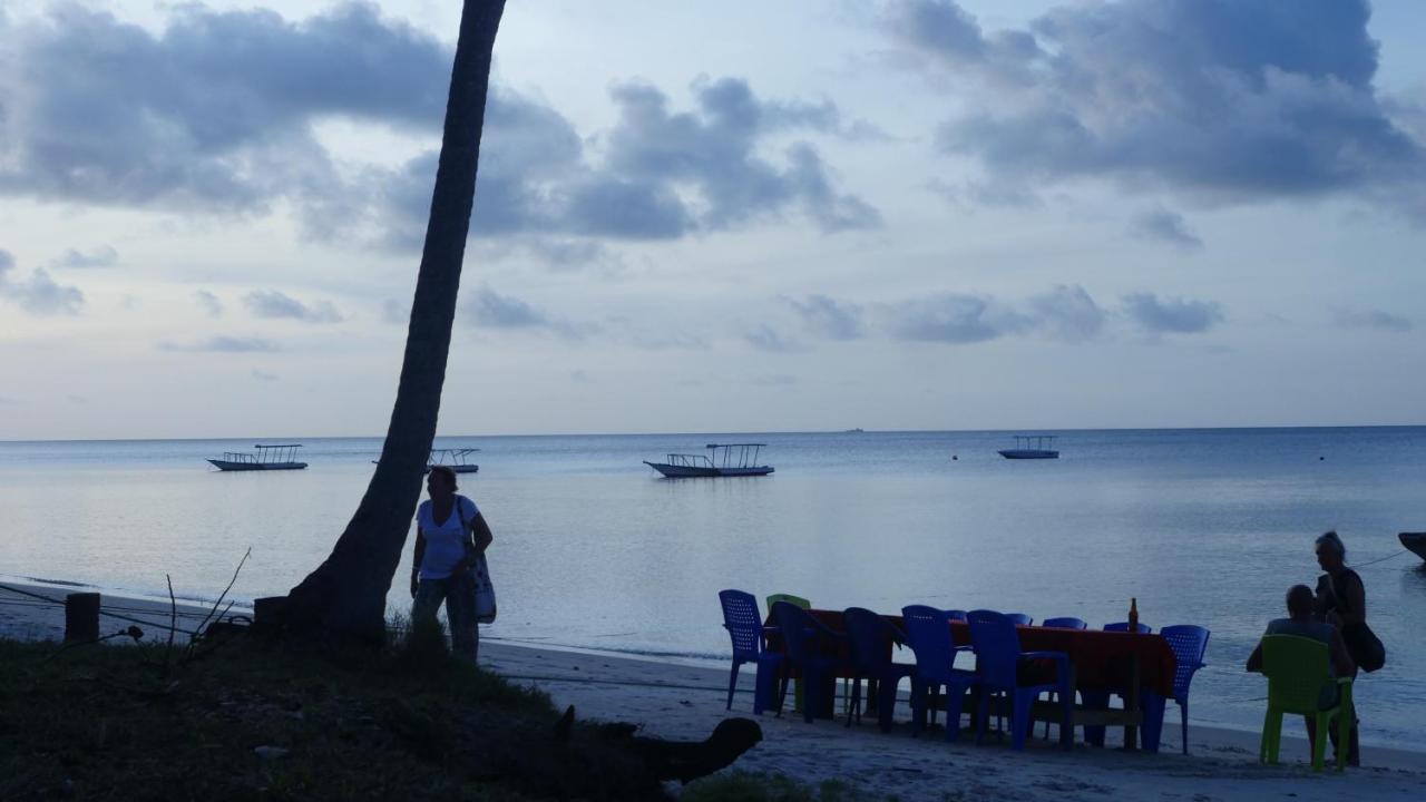 Bed and Breakfast Afro Whale Shark Safari Kilindoni Exteriér fotografie