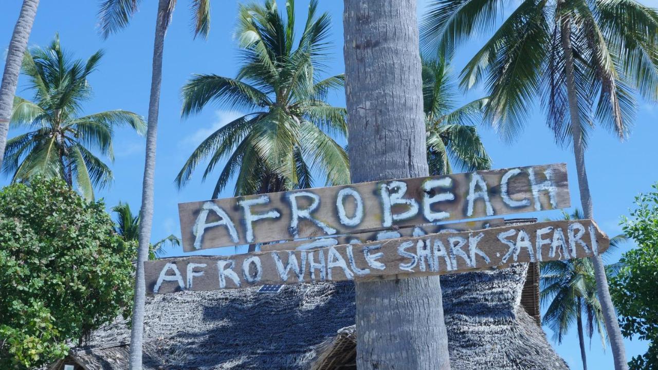 Bed and Breakfast Afro Whale Shark Safari Kilindoni Exteriér fotografie