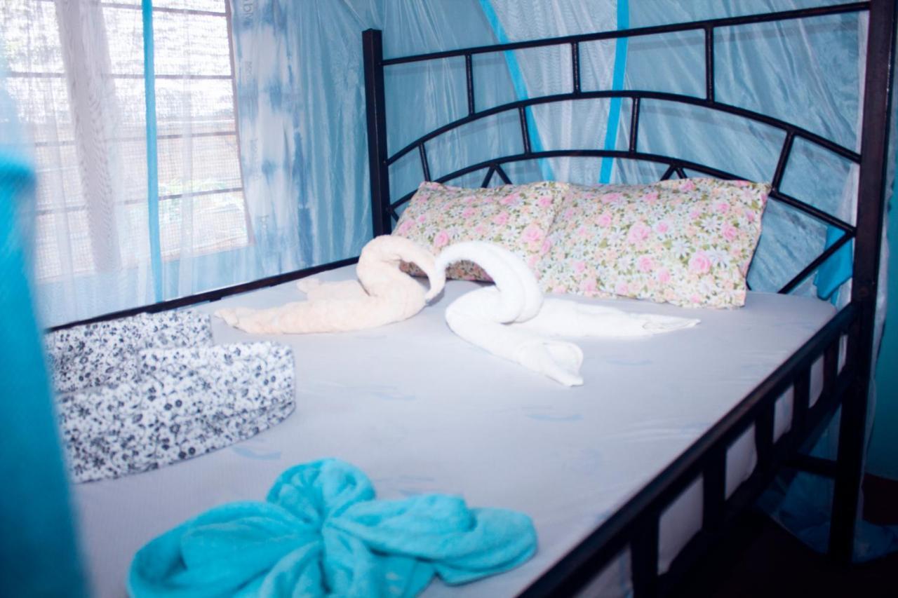 Bed and Breakfast Afro Whale Shark Safari Kilindoni Exteriér fotografie