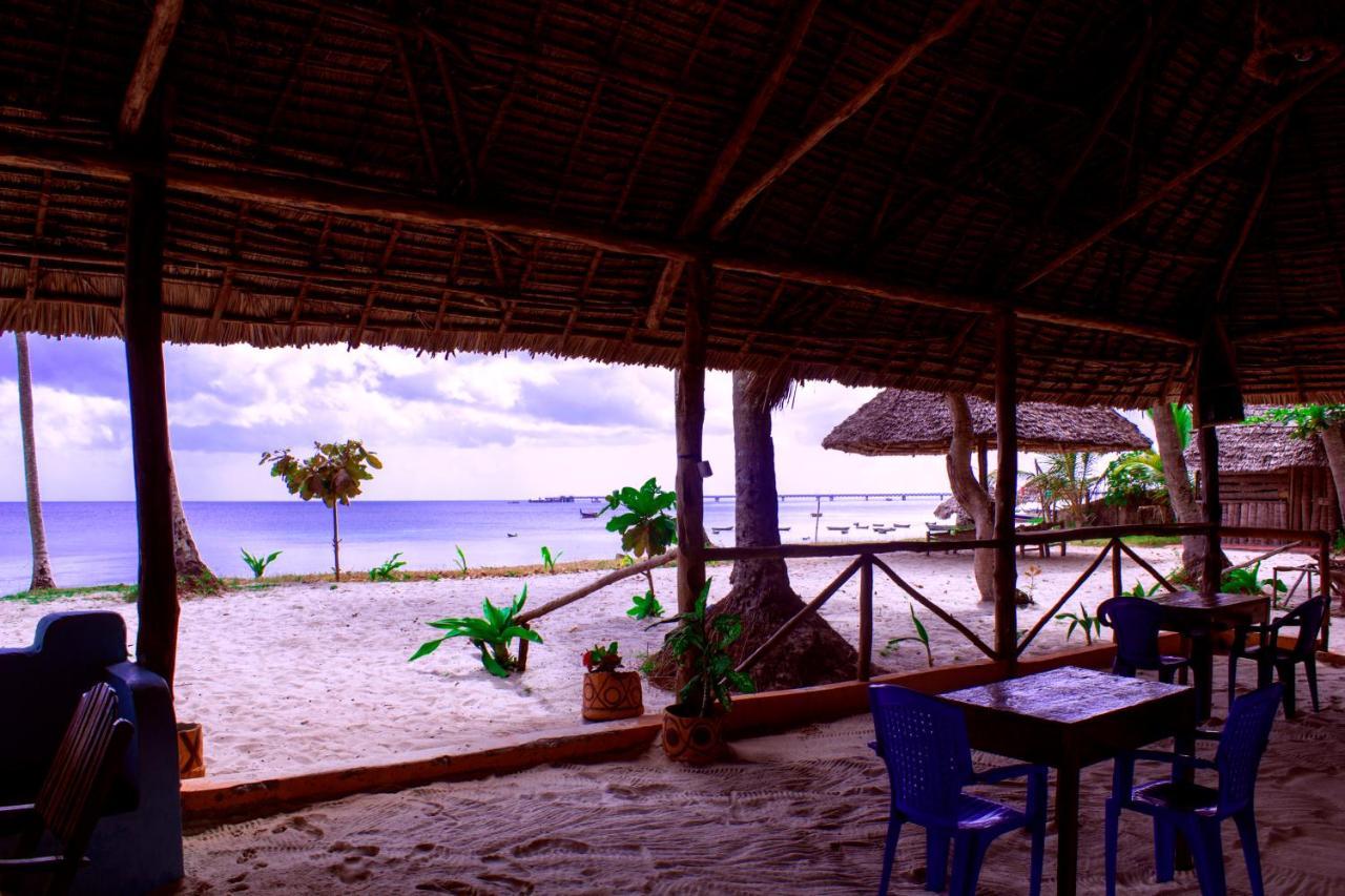 Bed and Breakfast Afro Whale Shark Safari Kilindoni Exteriér fotografie
