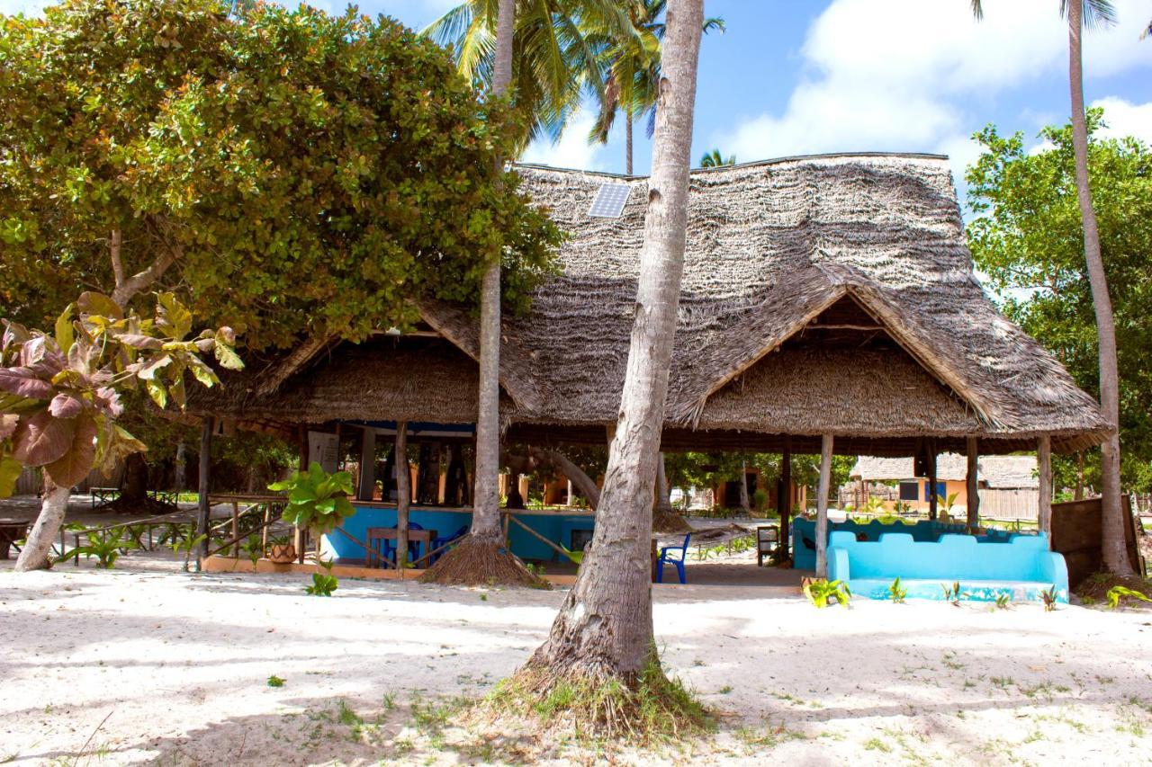 Bed and Breakfast Afro Whale Shark Safari Kilindoni Exteriér fotografie