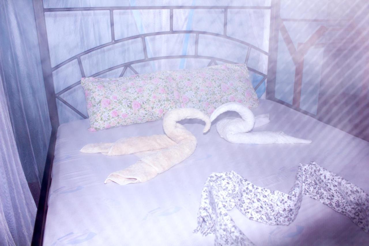Bed and Breakfast Afro Whale Shark Safari Kilindoni Exteriér fotografie